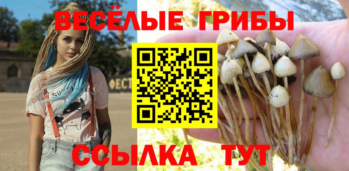 Галлюциногенные грибы MAGIC MUSHROOMS Костомукша
