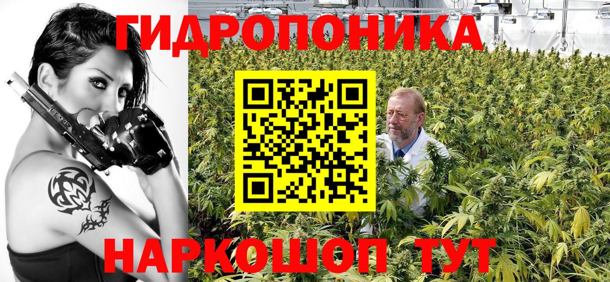 Конопля SATIVA & INDICA  Вход с VPN  Бошки марихуана планчик  Костомукша  Конопля AK-47 